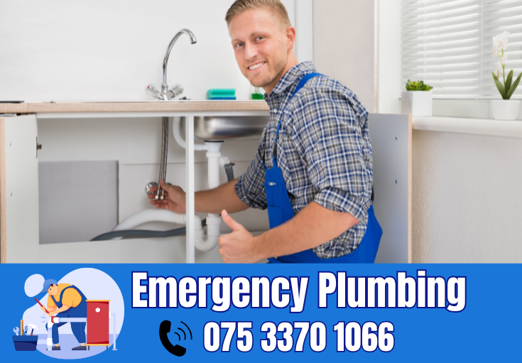  plumber Teynham
