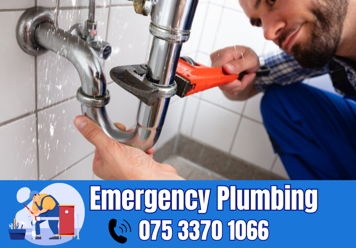  plumber Sheerness